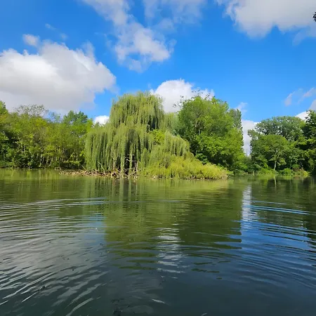 D'hote Rubis Genouille (Charente-Maritime)