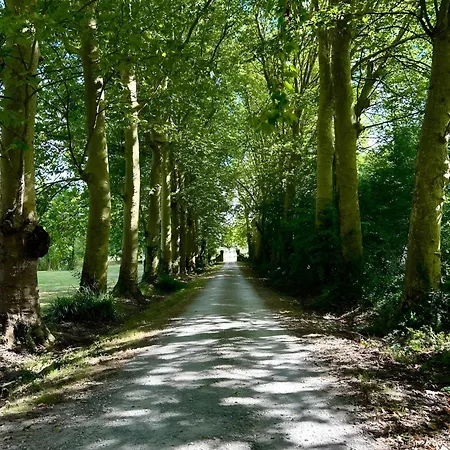 D'hote Rubis * Genouille (Charente-Maritime)