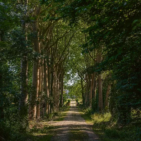 Bed and breakfast D'hote Rubis