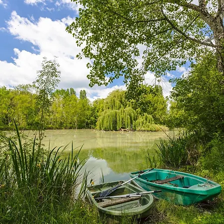 D'hote Rubis Genouille (Charente-Maritime)