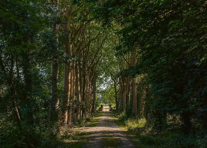 Bed and breakfast D'hote Rubis